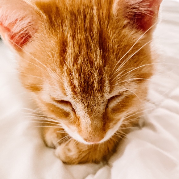 Meet your Posher, Jonathan - Picture 1 of 1